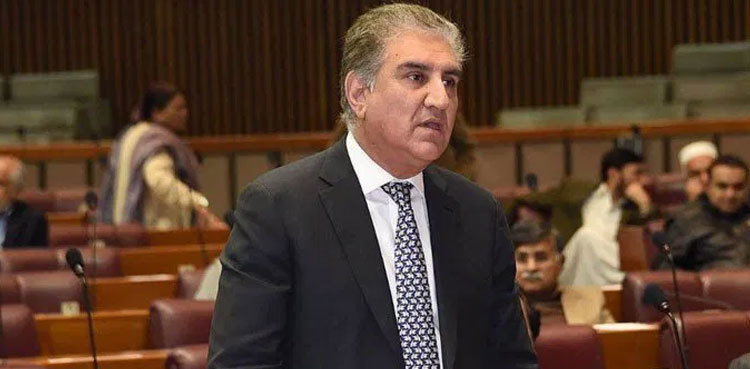 Govt doesn't intend to completely roll back 18th Amendment, FM Qureshi tells Senate