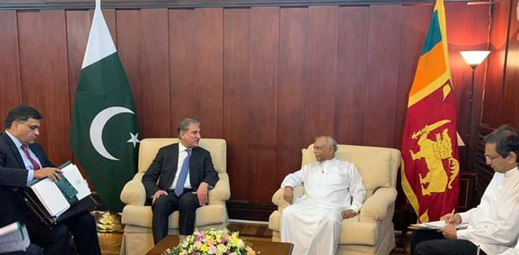 FM Qureshi apprises Sri Lankan counterpart on Kashmir dispute