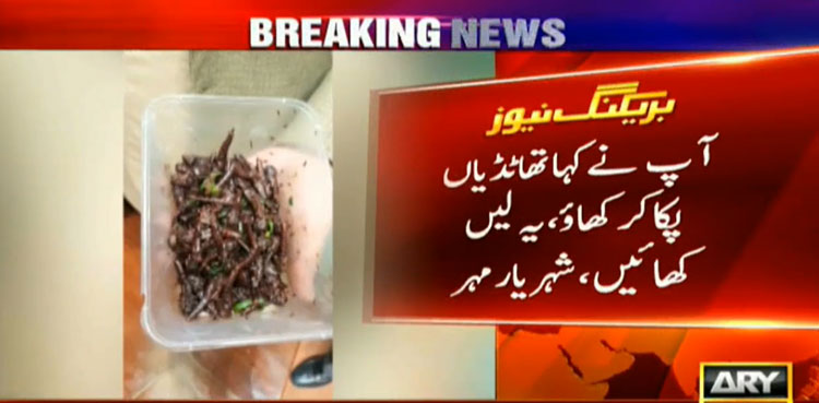 Member Sindh Assembly brings fried locusts as lunch