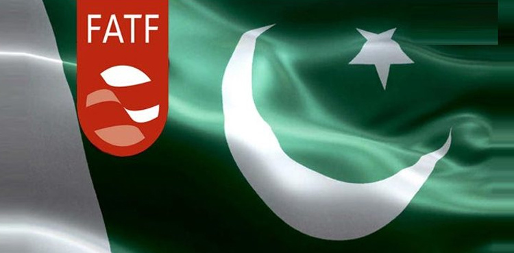 Pakistan submits implementation report of FATF action plan: sources