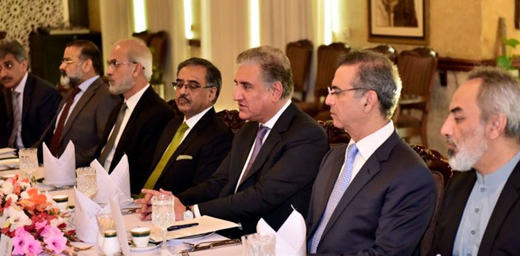 FM Qureshi urges EU to continue Pakistan's GSP Plus status