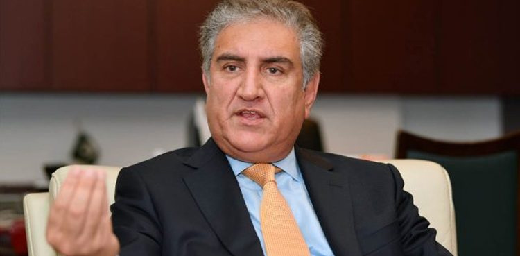 Pakistan believes in regional development: FM Qureshi