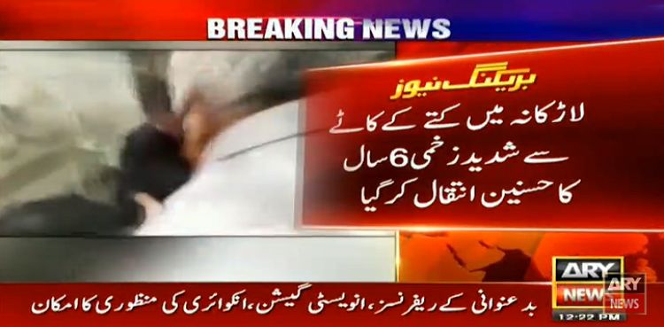 Larkana dog bite victim passes away in Karachi