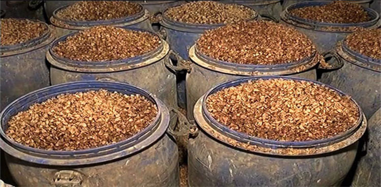 No ban on betel nuts under the law, Govt counsel tells court