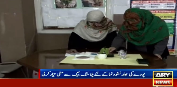 Abbottabad sisters come up with novel solution to plastic waste