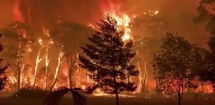 Australia bushfires flare as heatwave brings renewed misery