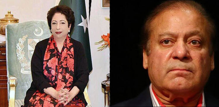 Maleeha Lodhi meets Mian Muhammad Nawaz Sharif in London