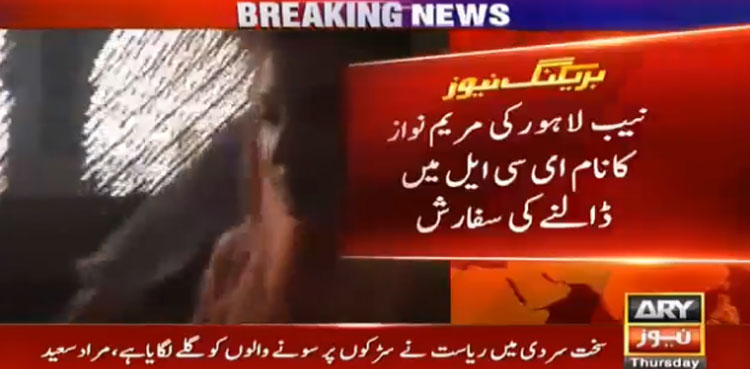 Ramzan Sugar Mills case: NAB seeks placement of Maryam's name on ECL