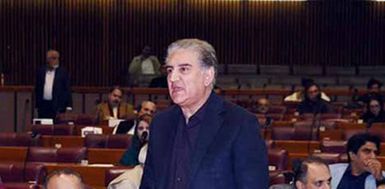 3,240 Pakistanis still languishing in Saudi jails, FM Qureshi tells NA