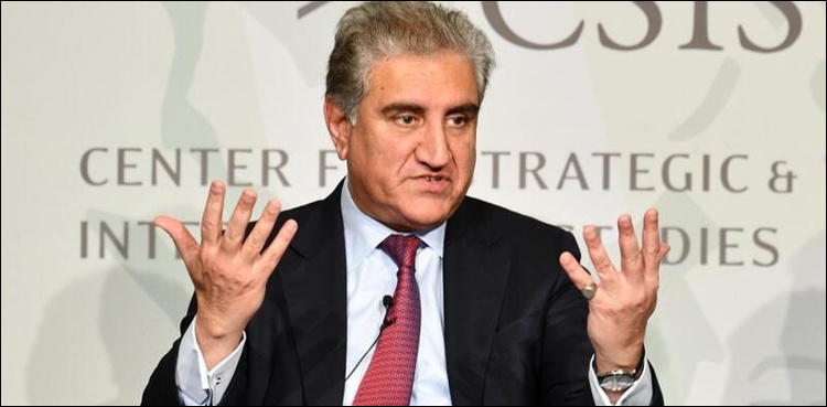 FM Qureshi lauds valor of PAF over downing Indian jets