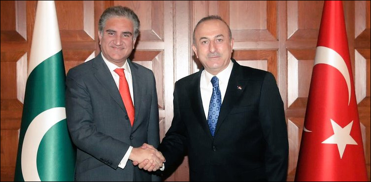 Qureshi discusses Gulf situation with his Turkish counterpart