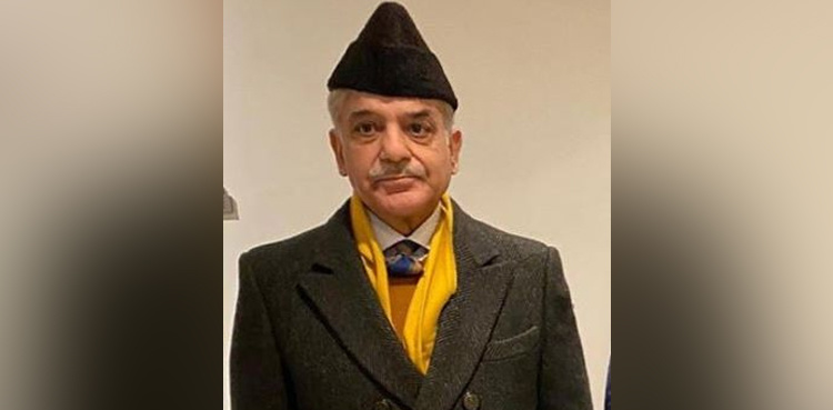 PM Imran Khan needs to work on 'choice of words': Shehbaz Sharif