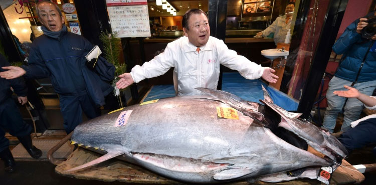 Japan 'Tuna King' buys new year catch for $1.8 million