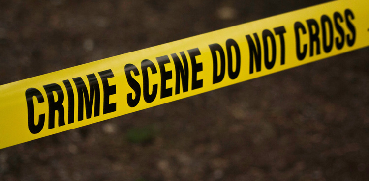 Rivals unleash dogs on women in Nawabshah