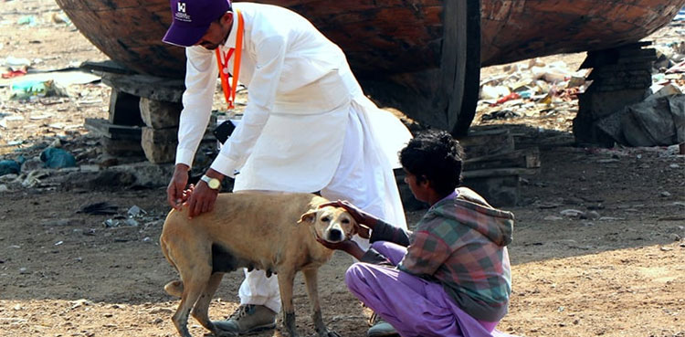 Dog-bite victim from Badin admitted to Jinnah hospital