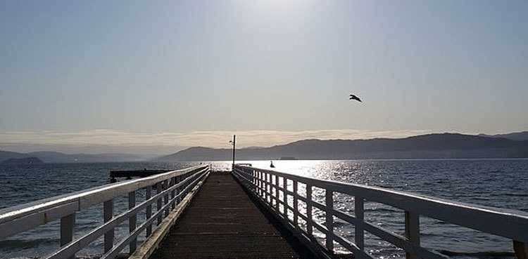 Father dies while trying to save drowning son