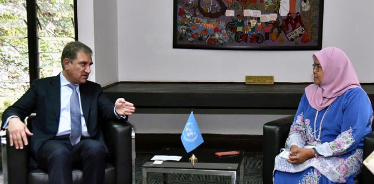 Govt committed to provide eco-friendly housing to masses: FM Qureshi