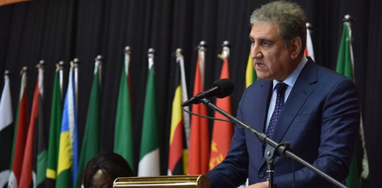 Pakistan's economy stabilized, on path for sustained growth: FM Qureshi