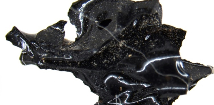 Black 'rock' from Pompeii is part of exploded brain