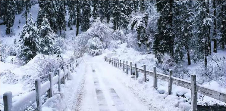 Snowfall in Gilgit-Baltistan to continue till Monday: met report