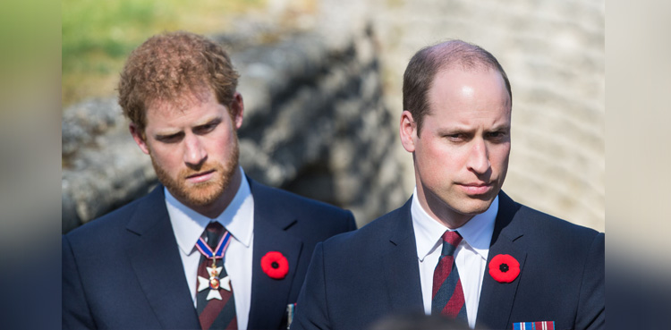Harry, William present united front before royal crisis summit