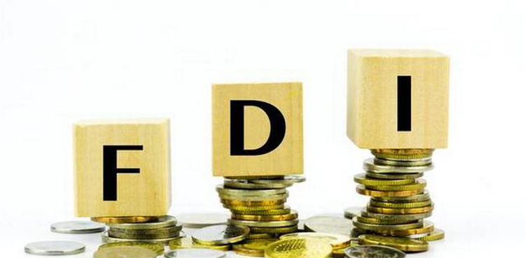 FDI in Pakistan rises to $219 mln in November 2024: SBP