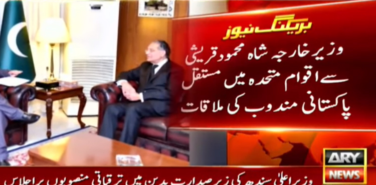 FM Qureshi welcomes UN chief's mediation offer on Kashmir dispute