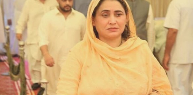 SHC adjourns hearing against acquittal of accused in MPAs murder case