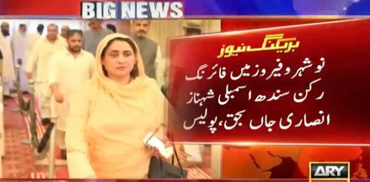 PPP MPA Shehnaz Ansari shot dead in Naushahro Feroze