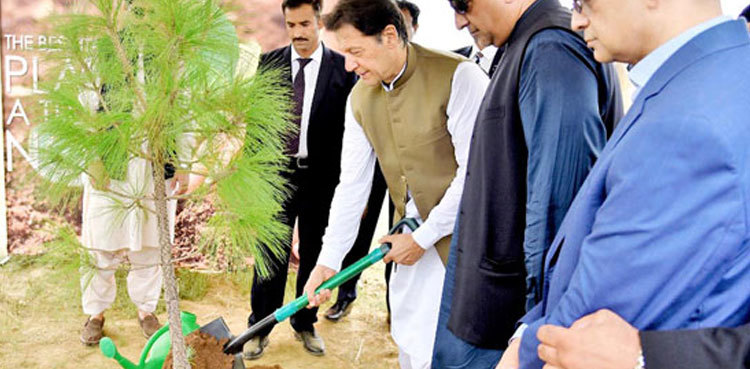 PM Imran wants youth to gear up for biggest tree planting drive in history