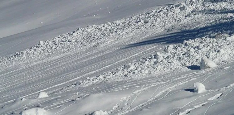 Two German tourists killed in Norway avalanche