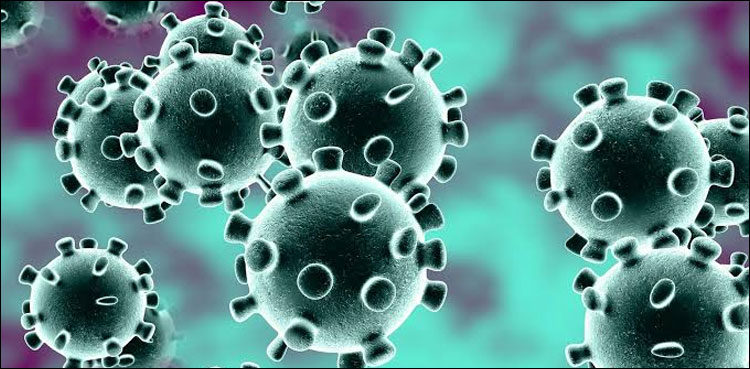 Hong Kong scientists claim to develop Coronavirus vaccine