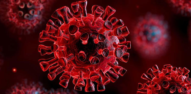 Coronavirus likely to cross over to Pakistan from Iran border: sources