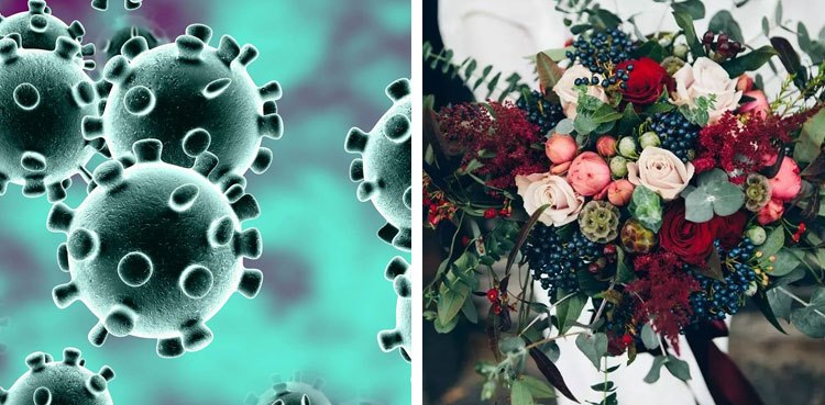 Presentation of floral bouquets to patients can transmit COVID-19