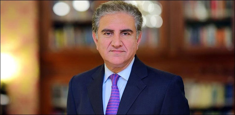 Our first defence line is doctors, paramedics, says Shah Mehmood Qureshi