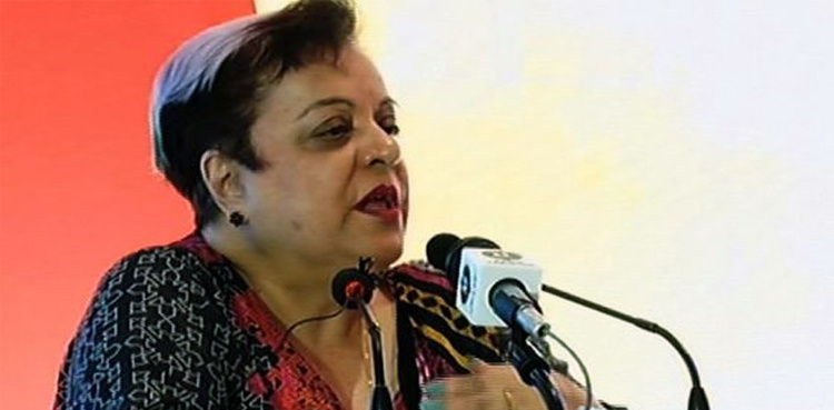 Legislation being brought against corporal punishment in schools: Shireen Mazari