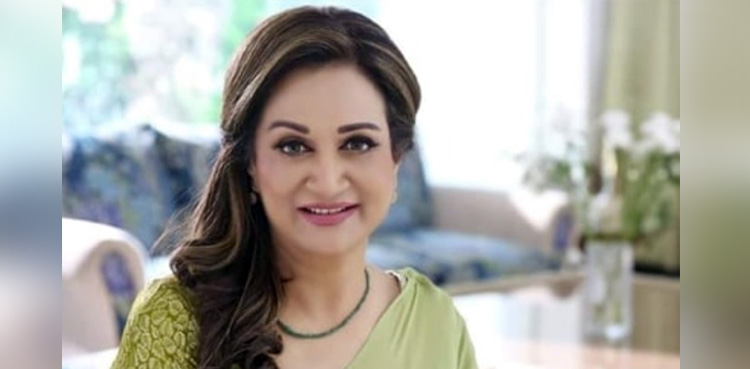 Bushra Ansari slams criticism on viral dance video