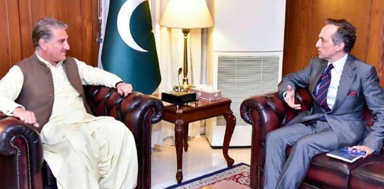 Pakistan taking effective measures to curb COVID-19: FM Qureshi   