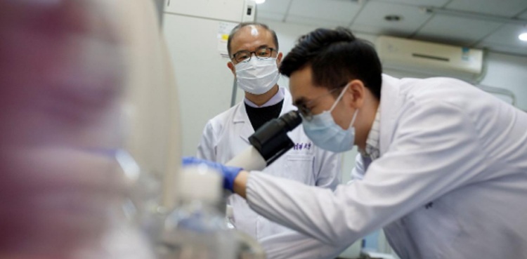 Chinese scientists seeking potential COVID-19 treatment find 'effective' antibodies