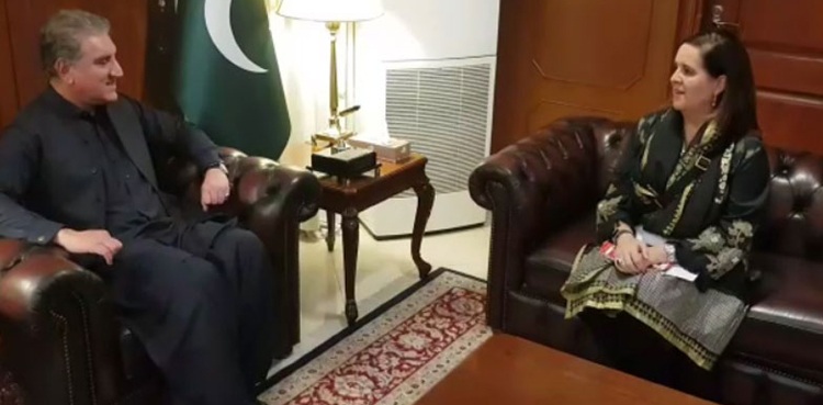 FM Qureshi discusses debt relief initiative with IMF representative