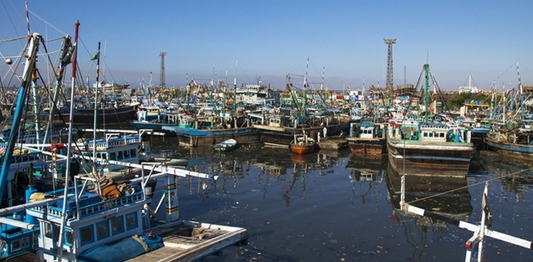 Protest staged at Karachi fish harbour against vendor's murder
