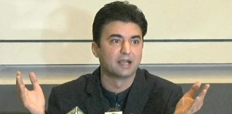 Murad Saeed booked in eight cases, IHC told