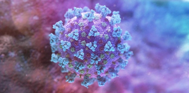 Three more beat COVID-19 in Gilgit-Baltistan, tally of recovered patients reaches 201