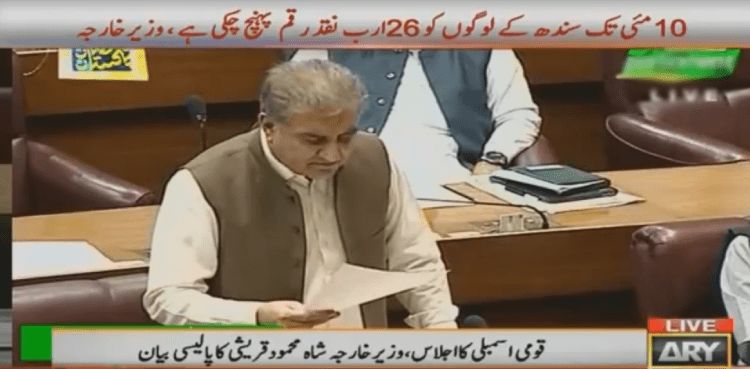 Pakistan ahead of other South Asian countries in terms of Covid-19 testing capacity: FM Qureshi