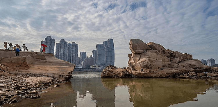 Tourists flock to get a rare glimpse of China's 'mystical turtle' island