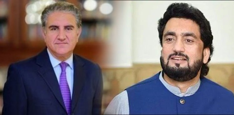 FM Qureshi meets Shehryar Afridi to discuss Indian aggression in Kashmir