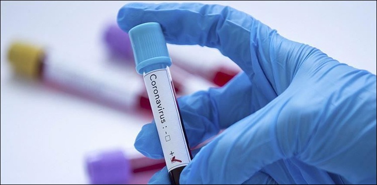 Sindh to collect samples from schools for corona tests