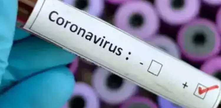 Number of confirmed coronavirus cases in Sehwan reaches 64