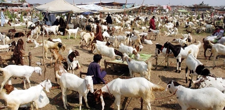 Eidul Adha 2024 likely to fall on this date