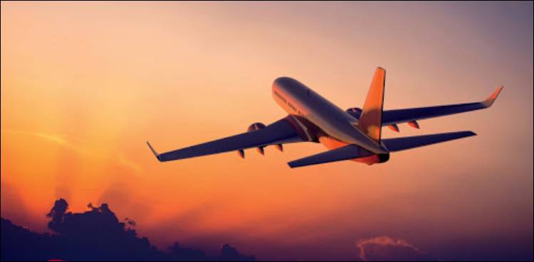 Private airline announces reduction in fares for domestic flights